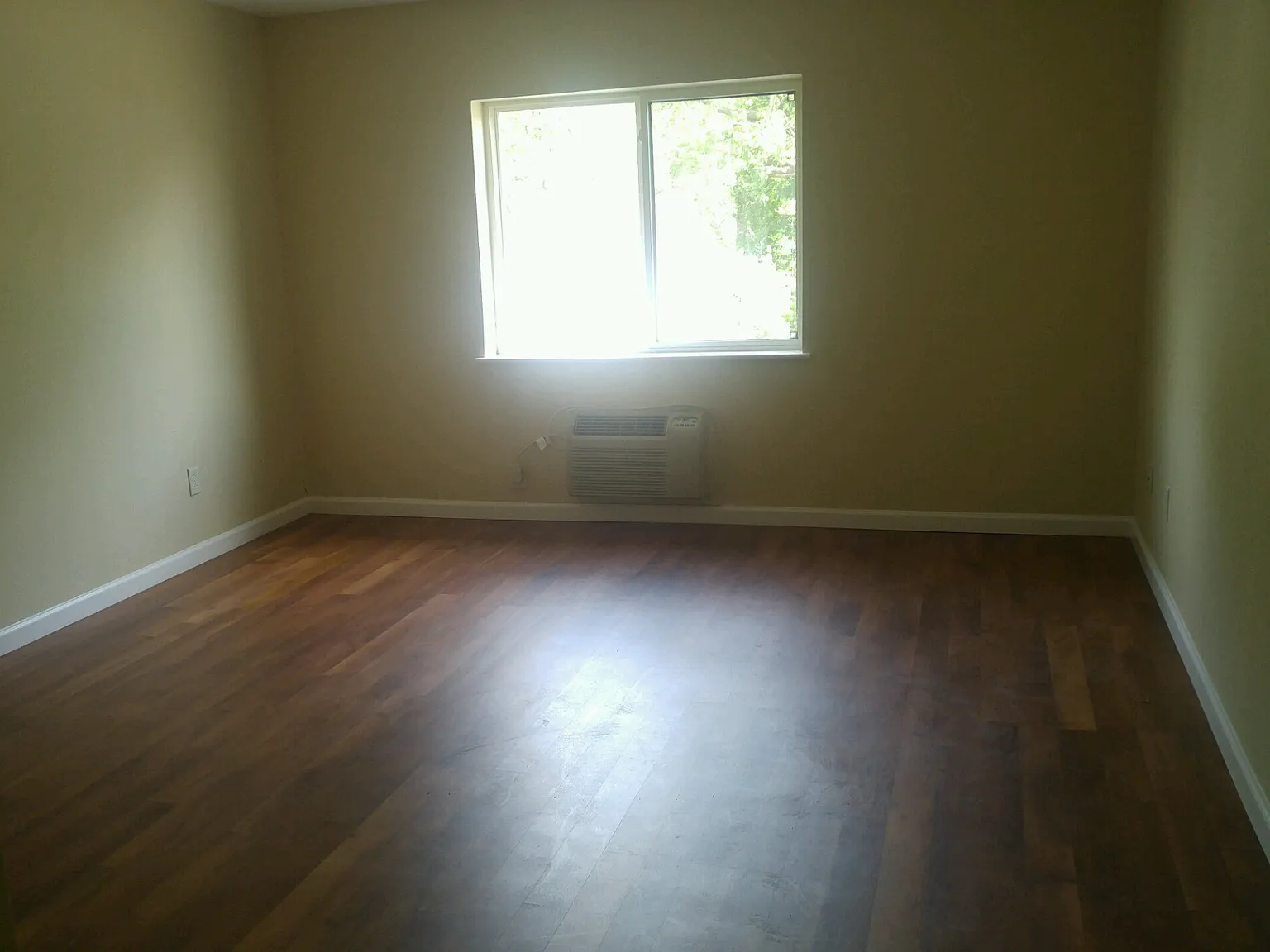 Studio, 550 sqft, $900 — Photo 3
