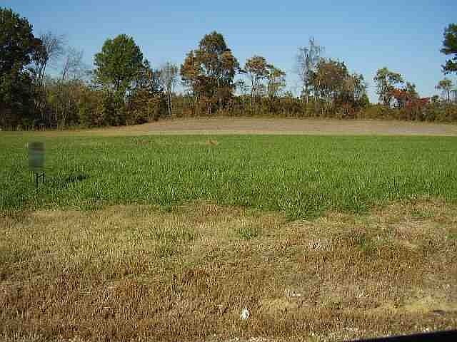 2nd image of 309 Mellow Ln