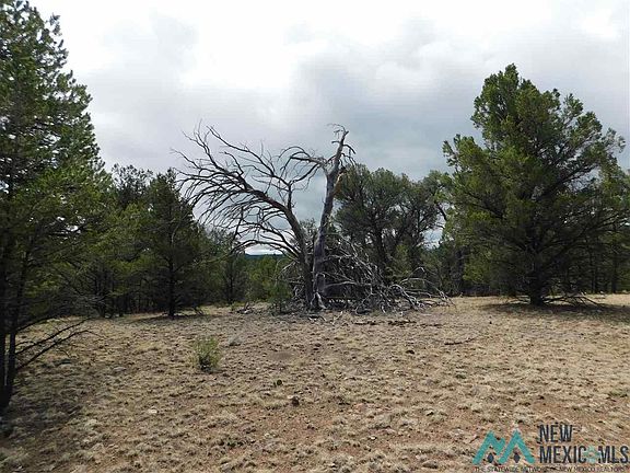 3rd image of Largo Canyon Loop