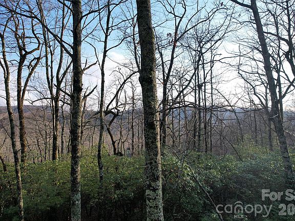 4th image of Laurel Thicket Ln