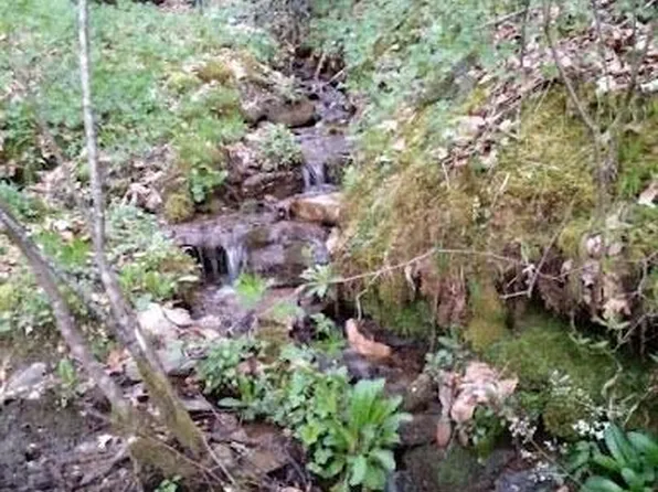 617 Barkers Creek Rd, Whittier, NC 28789