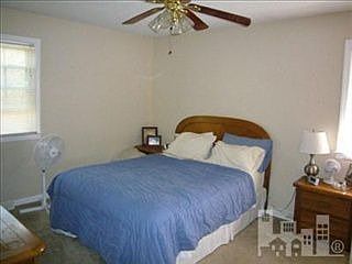 4th image of 4826 Ilex Dr