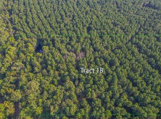 TRACT 18 County Road 4224, Frankston, TX 75763