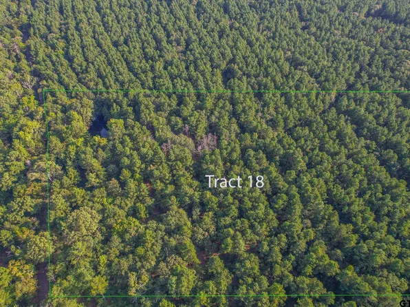TRACT 18 County Road 4224, Frankston, TX 75763