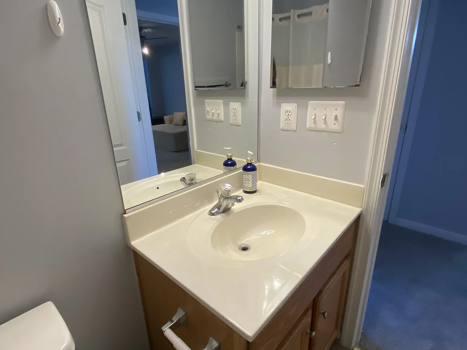 123 Swearingen Way, Shepherdstown, WV 25443 - 1 — Photo 4