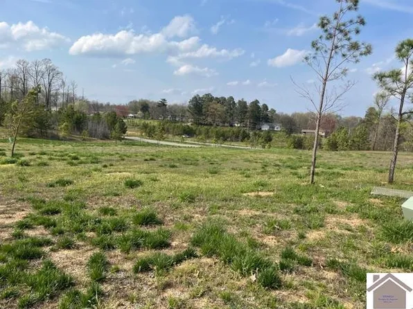 115 Falling Brook Dr #P-36, Paducah, KY 42003
