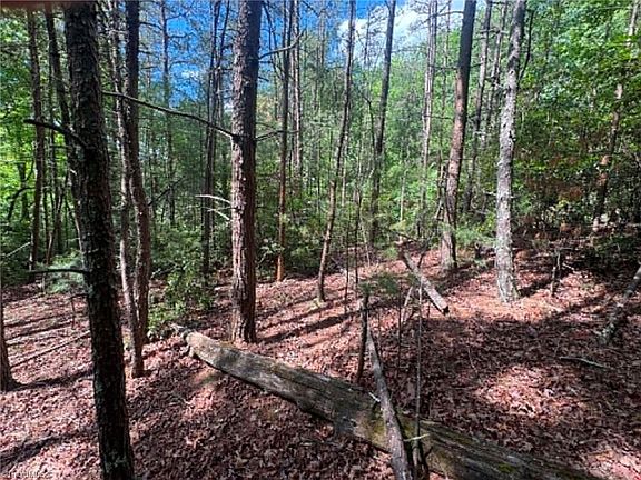 2nd image of 19 Fawn Ln