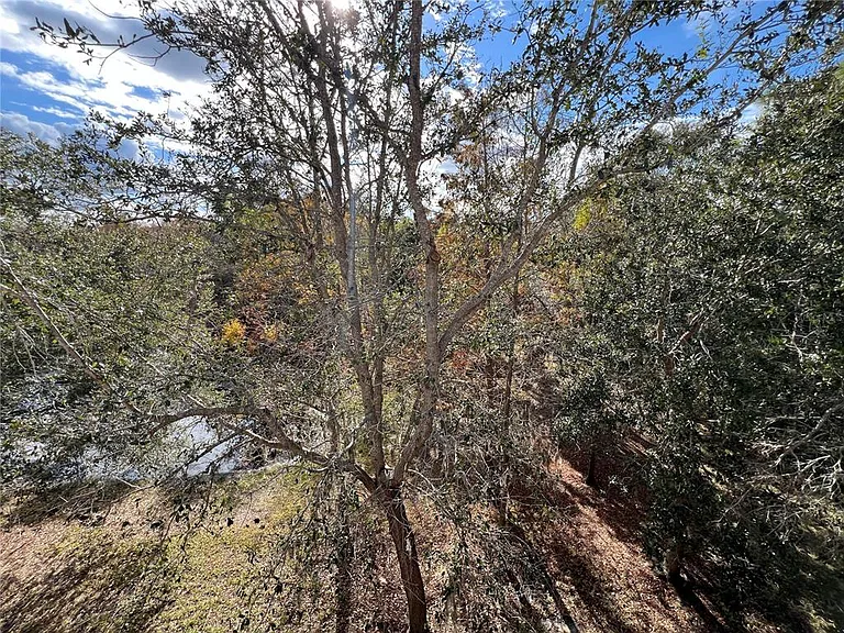 7350 Black Walnut Way — Photo 51