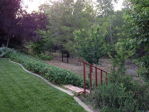 Fully landscaped back yard