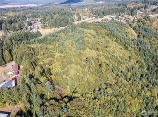 0 Lot 4 Spirit Lake Parcel WK3516014 Highway, Castle Rock, WA 98611