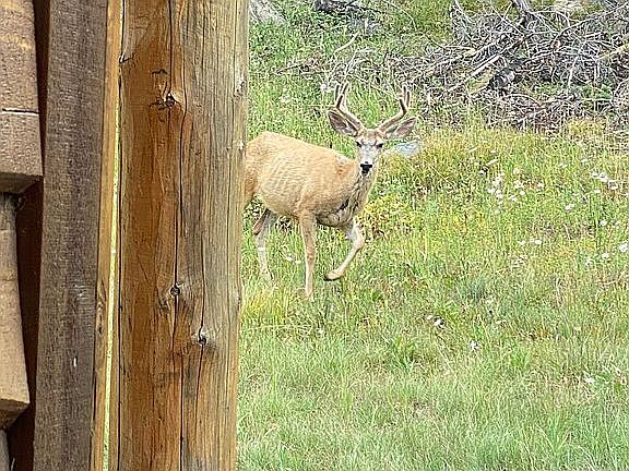 3rd image of 28 White Otter Rd