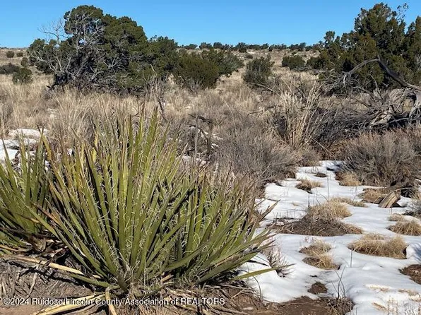 211 Windmill Ranches, Carrizozo, NM 88301