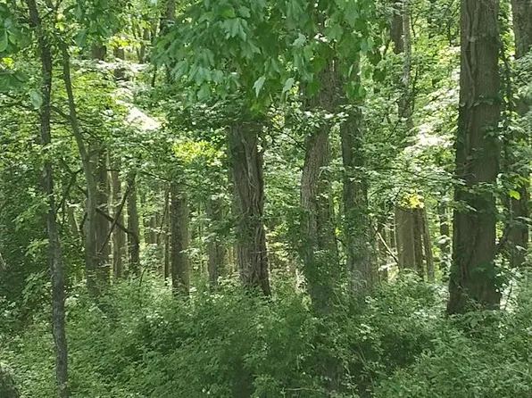 Caulks Field Rd, Chestertown, MD 21620