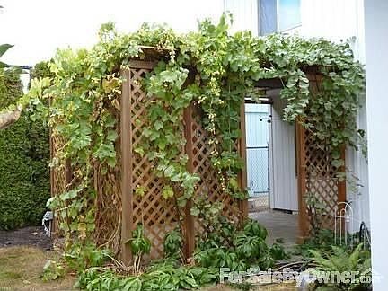 Outdoor living space
						:
						Stone tile patio w/ skylight & ceiling fans. Perfect for relaxing & entertaining