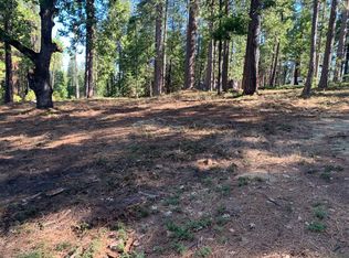 3394 Nugget Ct #250, Arnold, CA