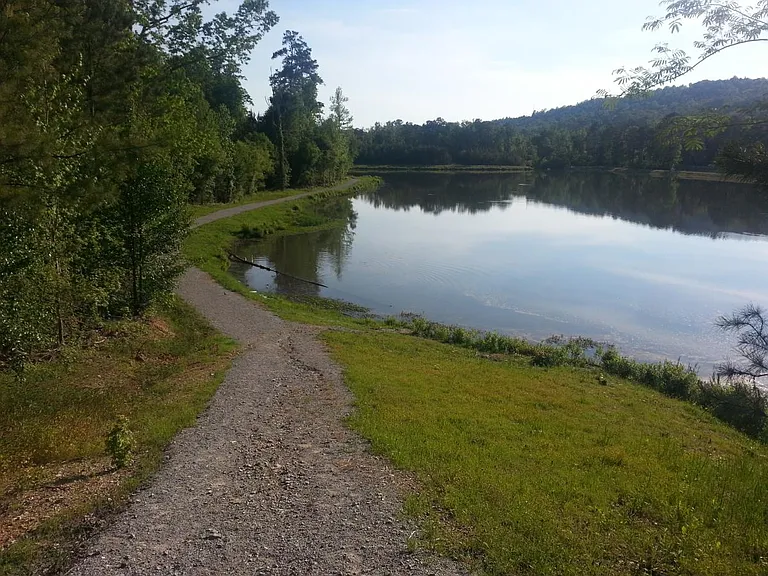 359 Forest Lakes Dr — Photo 8