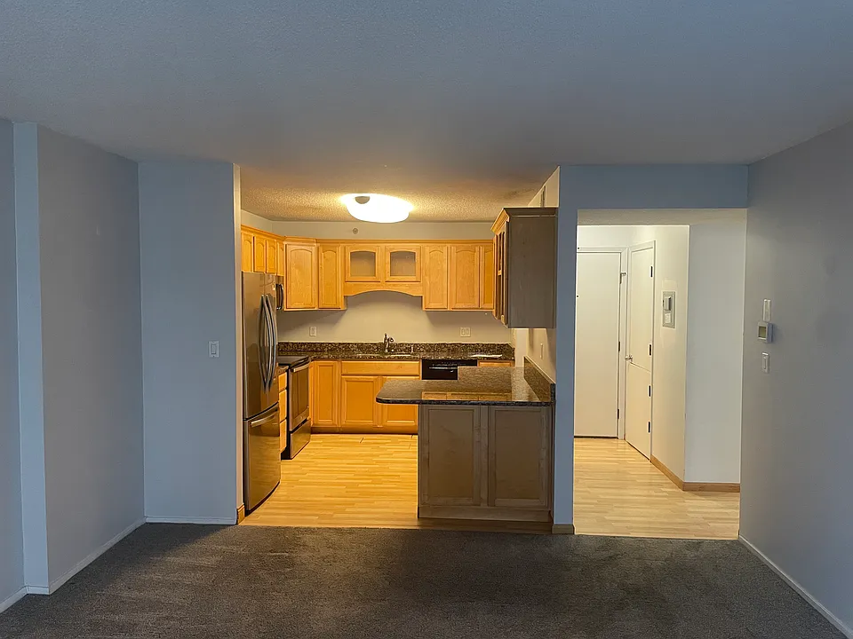 121 Washington Ave S #1111