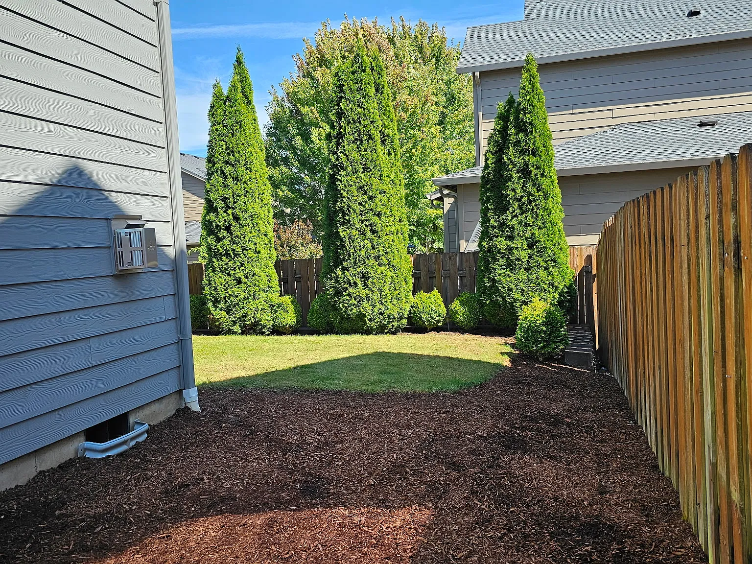 4 bed, 2.5 bath, 2378 sqft, $3,250 — Photo 3