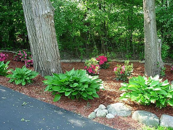 side yard