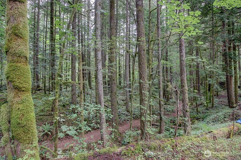 2nd image of 18 Wilderness Way