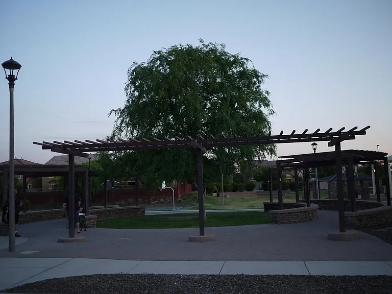 Common area/park