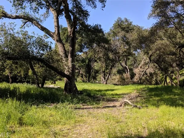30271 Old Stage Rd, Silverado, CA 92676