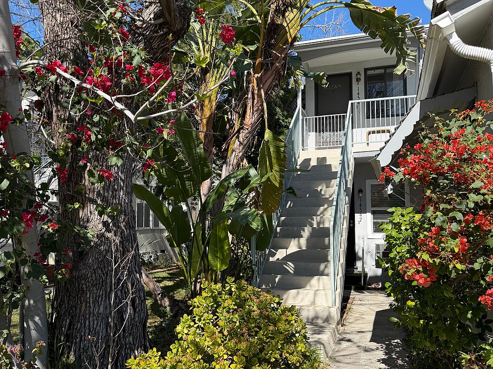 View from front yard.