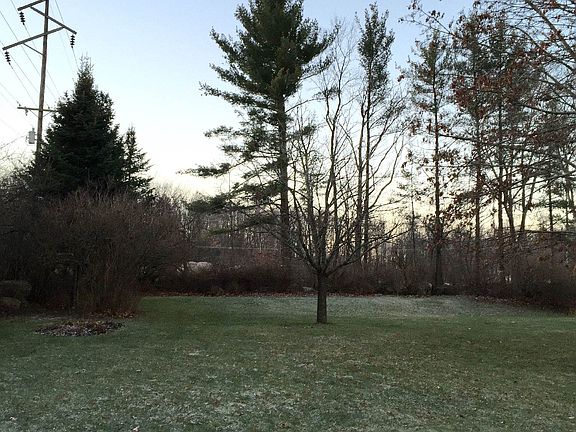 Partial View of Yard