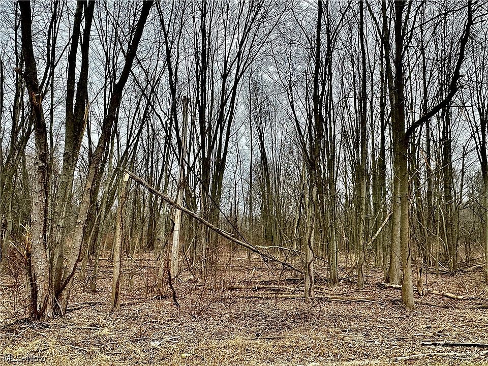 2nd image of State Route 534