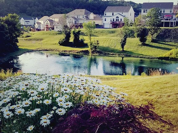 Lake inside the community