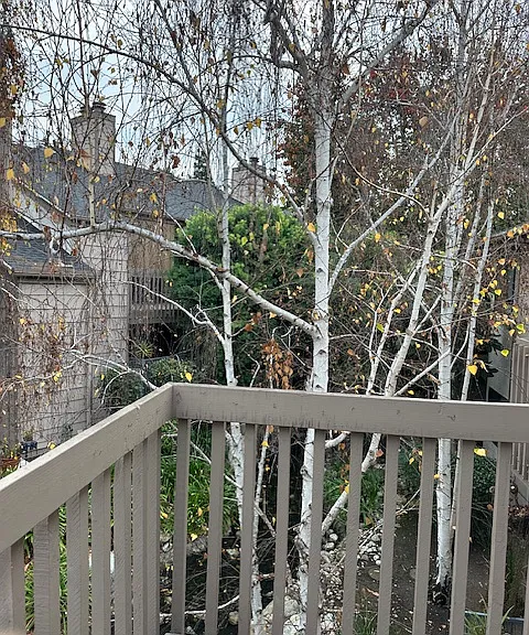 view from balcony