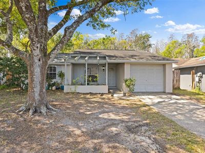2906 Cedaridge Dr, Tampa, FL, 33618