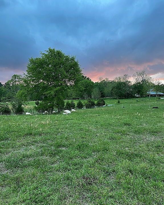 1st image of 311 Sherard Cir