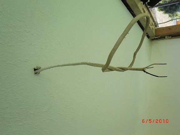3rd image of 5223 Newtonia Dr