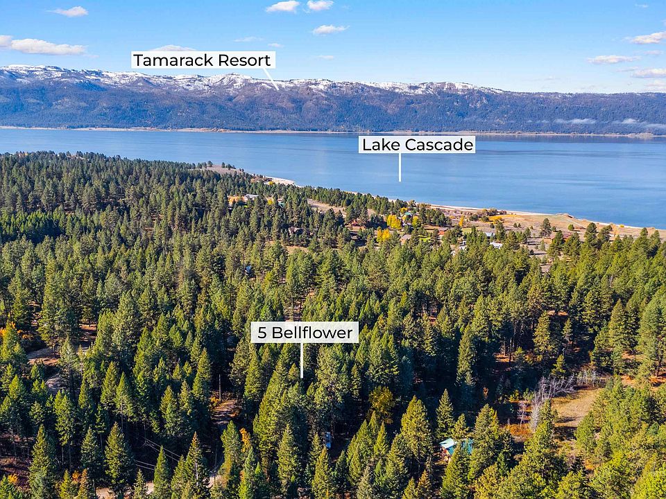 1st image of 5 Bell Flower