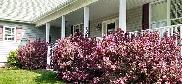 1st image of 183 Hillside Oaks Dr