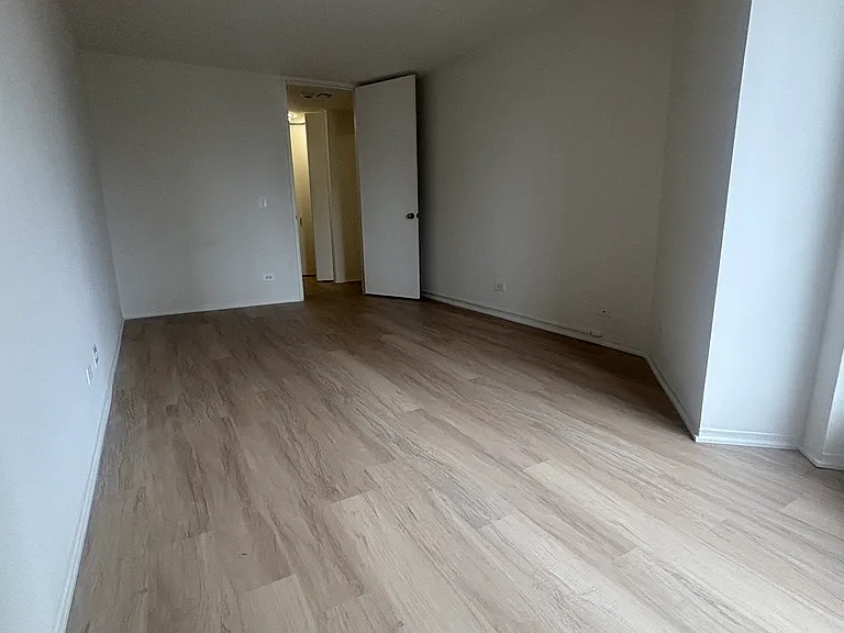 745 N Dearborn St #1003 — Photo 8