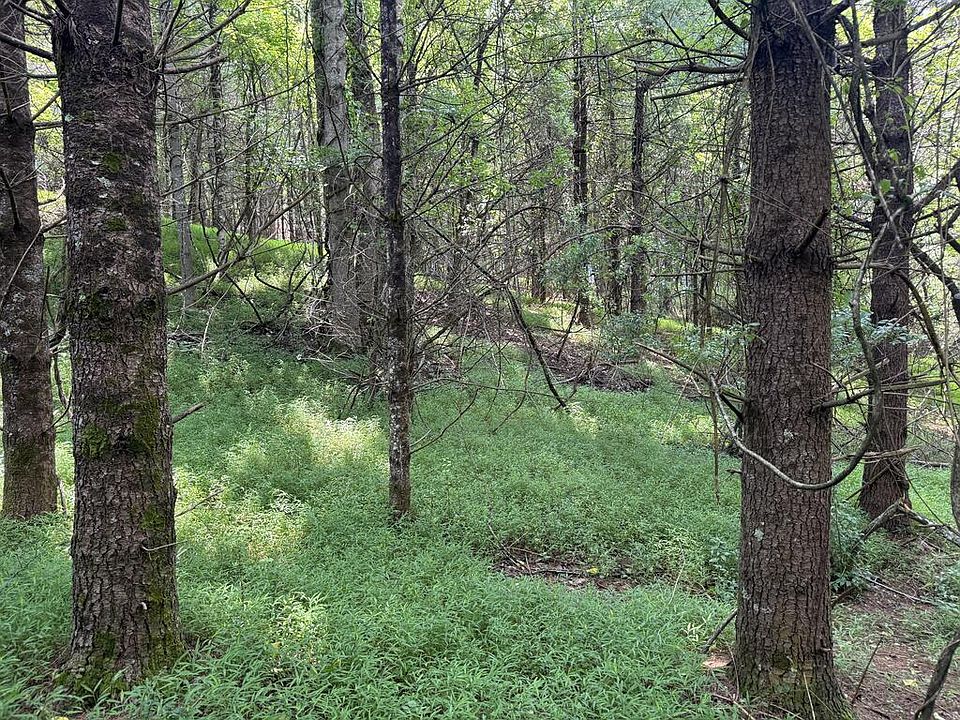 1st image of Cardinal Rd
