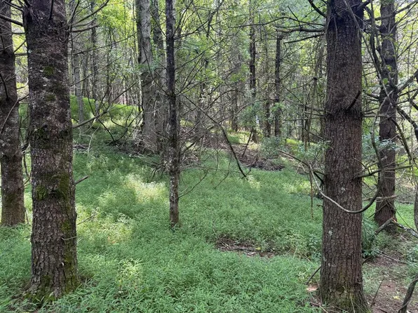 Cardinal Rd, Galax, VA 24333