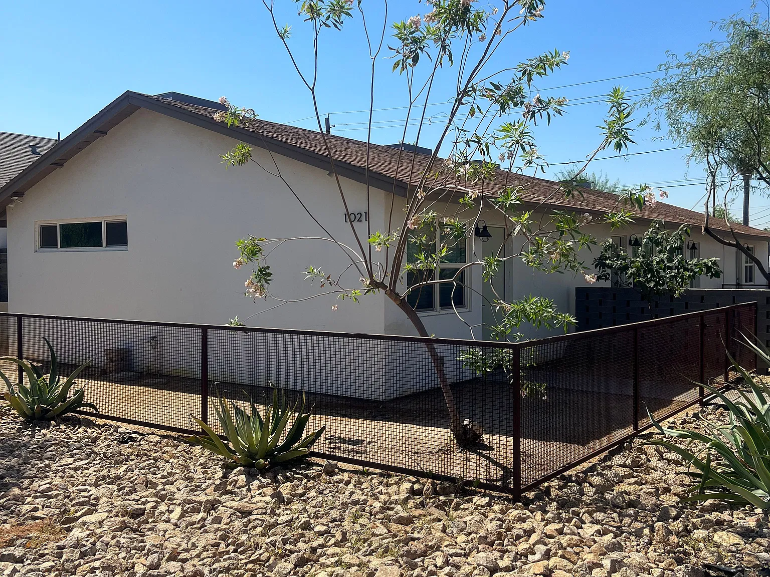 1021 E McKinley St — Photo 3