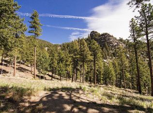 559 Crystal Ridge Rd, Evergreen, CO 80439