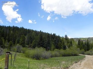 1810 Cold Spring Rd, Nederland, CO 80466