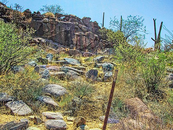 5th image of 13670 N Hidden Rock Pl Lot 245