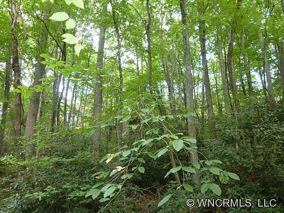 3rd image of 91 Dogwood Dr