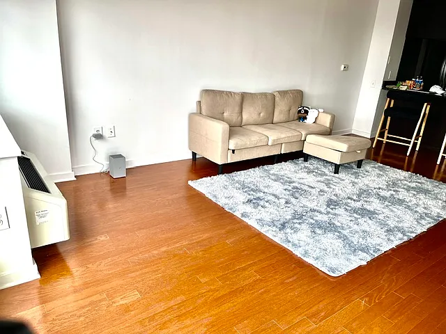 2 bed, 1150 sqft, $4,100 — Photo 4