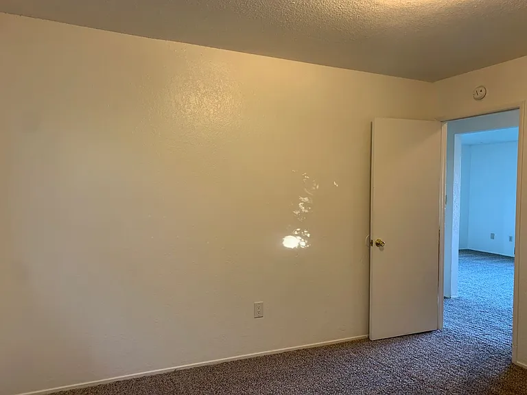 3469 Alta Mesa Dr — Photo 42