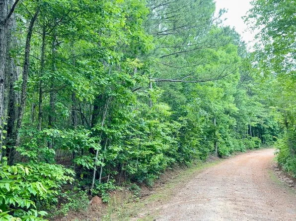 0 County Road 645 #1, Roanoke, AL 36274