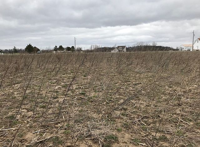 2nd image of 6448 County Road 40
