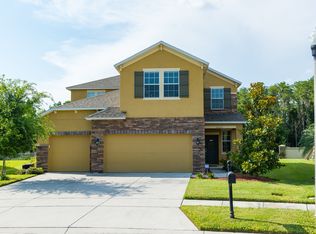 23052 Wood Violet Ct, Land O Lakes, FL 34639
