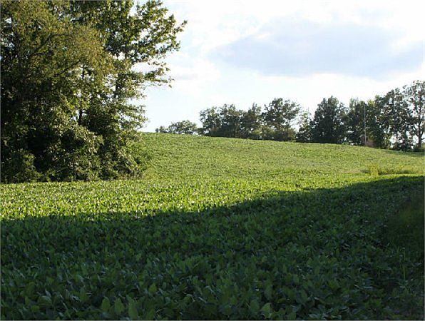 2nd image of 6650 K Rd